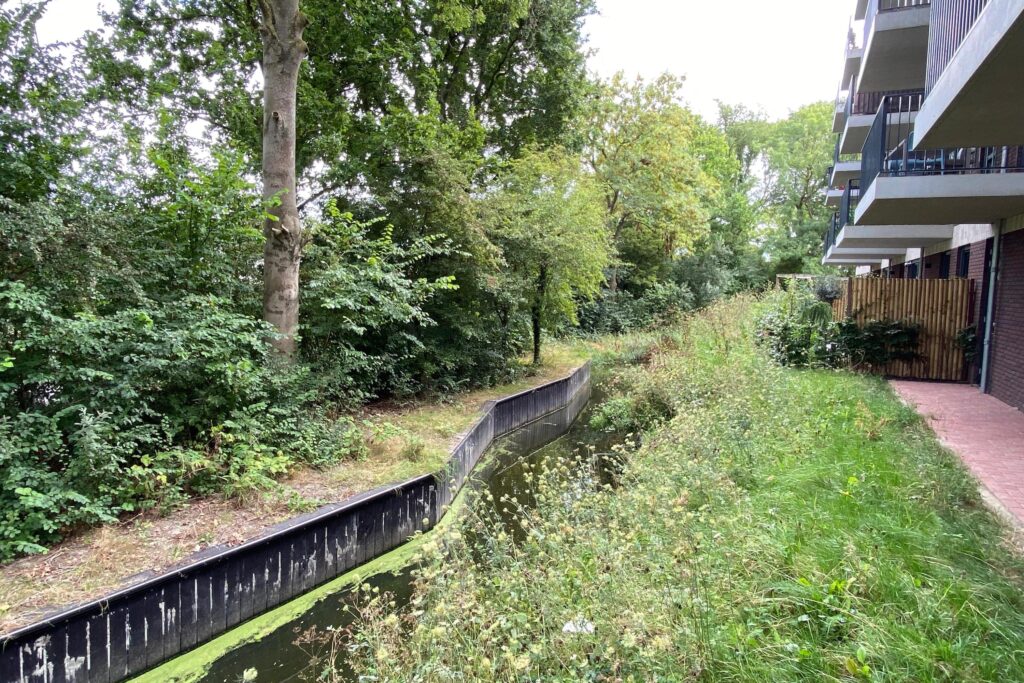 Alt
